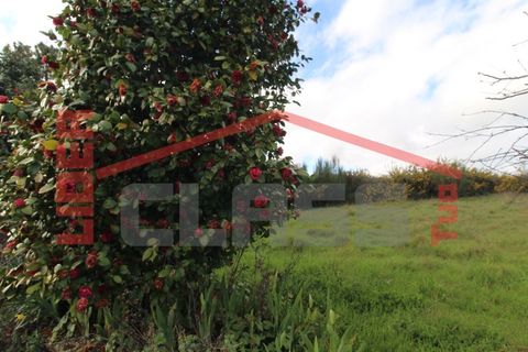 Villa i Curopos e Vale de Janeiro, Braganca, Curopos e Vale de Janeiro - € 65.000 | Ref: 22709/14358 - foto 19