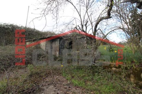 Villa i Curopos e Vale de Janeiro, Braganca, Curopos e Vale de Janeiro - € 65.000 | Ref: 22709/14358 - foto 20