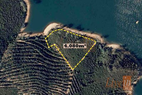 Helårsgrund i Serra, Santarem, Serra - € 20.000 | Ref: 9223DC - foto 3