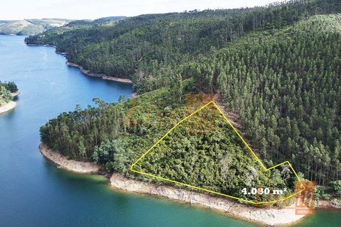 Helårsgrund i Serra, Santarem, Serra - € 20.000 | Ref: 9223DC - foto 1