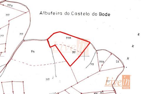 Helårsgrund i Serra, Santarem, Serra - € 20.000 | Ref: 9223DC - foto 4