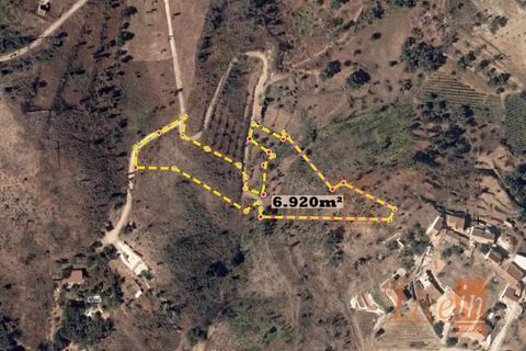 Helårsgrund i Serra, Santarem, Serra - € 12.500 | Ref: 9211DC - foto 4