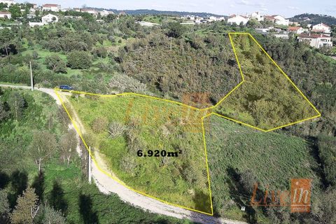 Helårsgrund i Serra, Santarem, Serra - € 12.500 | Ref: 9211DC - foto 1