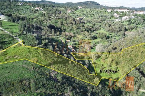 Helårsgrund i Serra, Santarem, Serra - € 12.500 | Ref: 9211DC - foto 3
