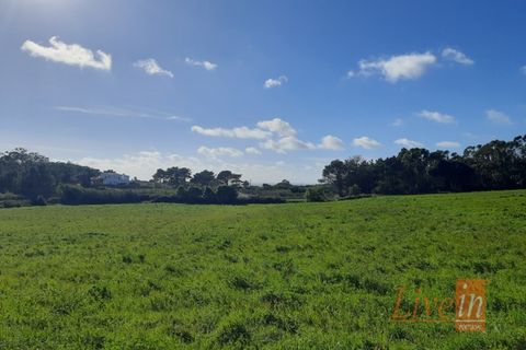 Helårsgrund i Ericeira, Lisbon, Ericeira - € 1.300.000 | Ref: 9196JF - foto 2