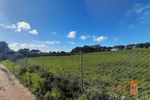 Helårsgrund i Ericeira, Lisbon, Ericeira - € 1.300.000 | Ref: 9196JF - foto 3