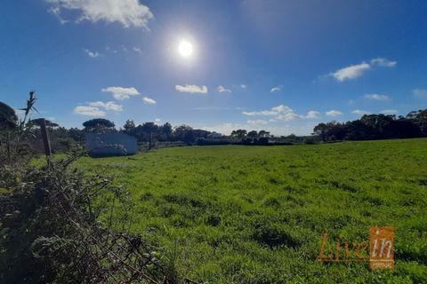 Helårsgrund i Ericeira, Lisbon, Ericeira - € 1.300.000 | Ref: 9196JF - foto 5