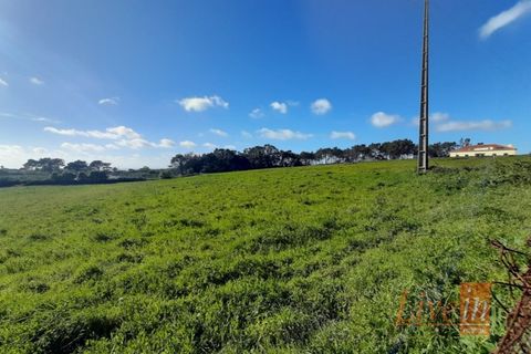 Helårsgrund i Ericeira, Lisbon, Ericeira - € 1.300.000 | Ref: 9196JF - foto 7