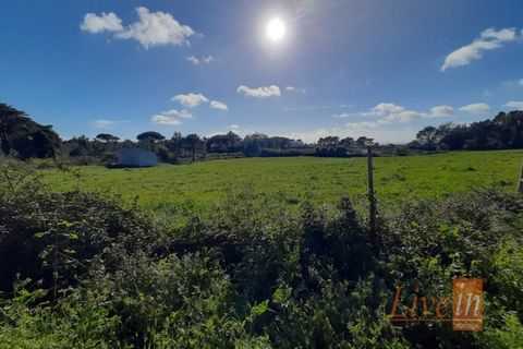 Helårsgrund i Ericeira, Lisbon, Ericeira - € 1.300.000 | Ref: 9196JF - foto 8