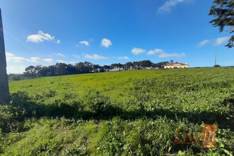 Helårsgrund i Ericeira, Lisbon, Ericeira - € 1.300.000 | Ref: 9196JF - foto 9