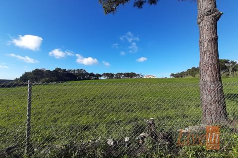 Helårsgrund i Ericeira, Lisbon, Ericeira - € 1.300.000 | Ref: 9196JF - foto 10