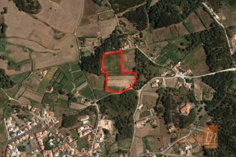 Helårsgrund i Ericeira, Lisbon, Ericeira - € 1.300.000 | Ref: 9196JF - foto 11