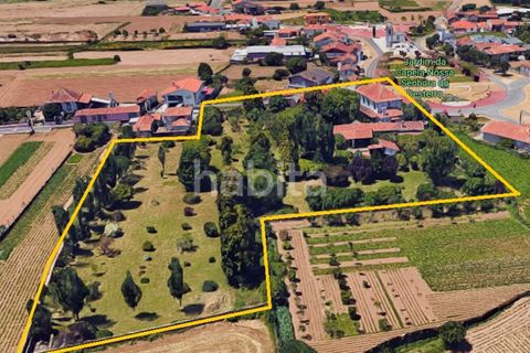 Villa a Ovar, Aveiro, Ovar - € 1.195.000 | Ref: CL082401 - foto 24