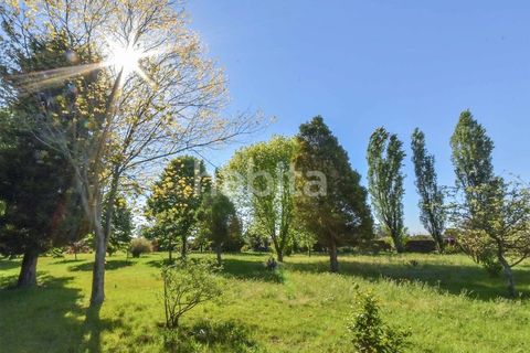 Villa a Ovar, Aveiro, Ovar - € 1.195.000 | Ref: CL082401 - foto 4