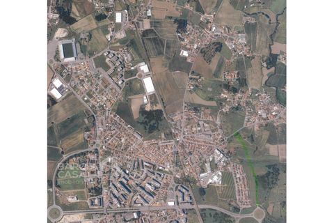 Helårsgrund i Barcelos, Braga, Barcelos - € 1.260.000 | Ref: 1/22 - foto 3