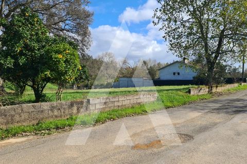 Helårsgrund i Agueda, Aveiro, Agueda - € 87.500 | Ref: 1060842/24 AL - foto 4