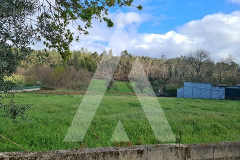 Helårsgrund i Agueda, Aveiro, Agueda - € 87.500 | Ref: 1060842/24 AL - foto 5