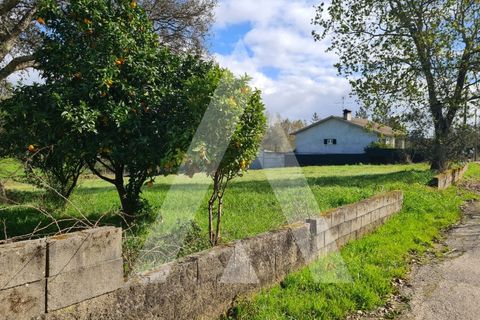 Helårsgrund i Agueda, Aveiro, Agueda - € 87.500 | Ref: 1060842/24 AL - foto 8