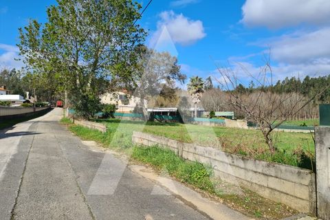 Helårsgrund i Agueda, Aveiro, Agueda - € 87.500 | Ref: 1060842/24 AL - foto 11
