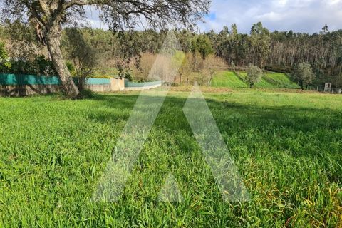 Helårsgrund i Agueda, Aveiro, Agueda - € 87.500 | Ref: 1060842/24 AL - foto 13