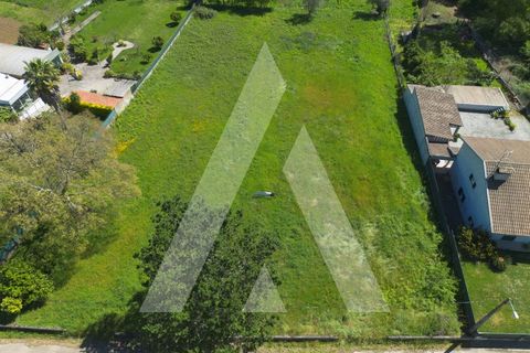 Helårsgrund i Agueda, Aveiro, Agueda - € 87.500 | Ref: 1060842/24 AL - foto 6
