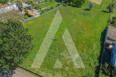 Helårsgrund i Agueda, Aveiro, Agueda - € 87.500 | Ref: 1060842/24 AL - foto 7