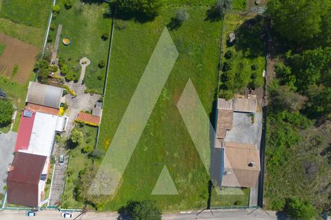 Helårsgrund i Agueda, Aveiro, Agueda - € 87.500 | Ref: 1060842/24 AL - foto 10