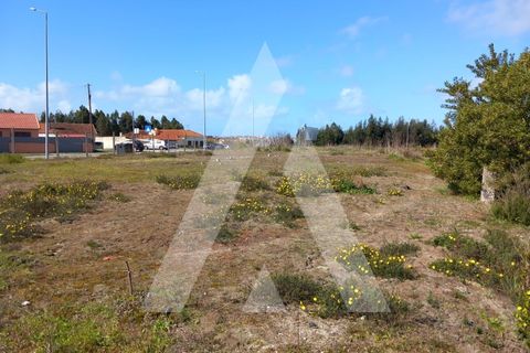 Helårsgrund i Ovar, Aveiro, Ovar - € 133.038 | Ref: 1060840/24 AL - foto 6