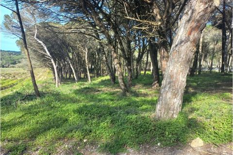 Helårsgrund i Sintra, Lisbon, Sintra - € 175.000 | Ref: SÒL_212 - foto 2