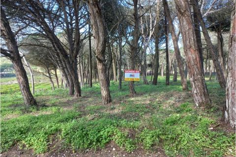 Helårsgrund i Sintra, Lisbon, Sintra - € 175.000 | Ref: SÒL_212 - foto 3
