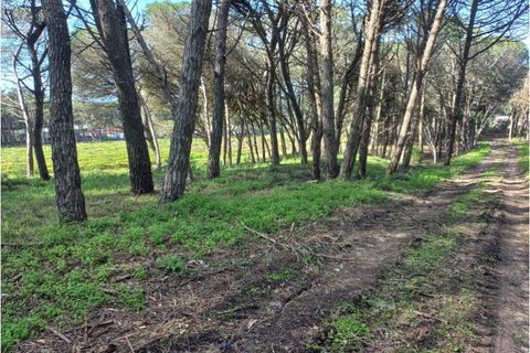 Helårsgrund i Sintra, Lisbon, Sintra - € 175.000 | Ref: SÒL_212 - foto 4