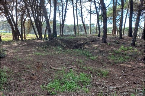 Helårsgrund i Sintra, Lisbon, Sintra - € 175.000 | Ref: SÒL_212 - foto 5