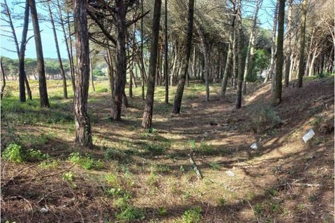 Helårsgrund i Sintra, Lisbon, Sintra - € 175.000 | Ref: SÒL_212 - foto 6