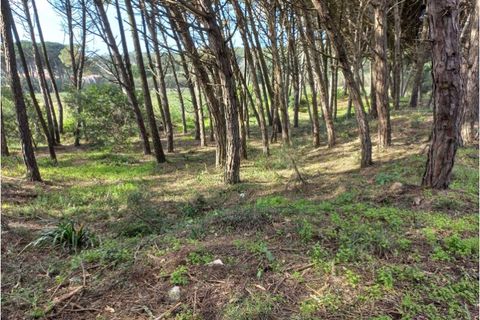 Helårsgrund i Sintra, Lisbon, Sintra - € 175.000 | Ref: SÒL_212 - foto 7