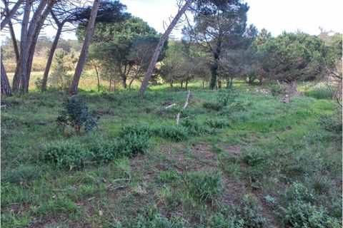 Helårsgrund i Sintra, Lisbon, Sintra - € 175.000 | Ref: SÒL_212 - foto 8