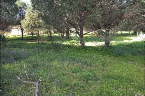 Helårsgrund i Sintra, Lisbon, Sintra - € 175.000 | Ref: SÒL_212 - foto 9