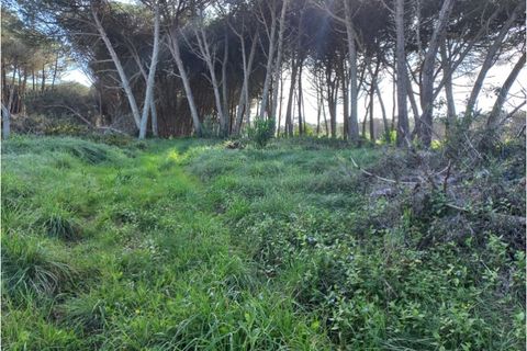 Helårsgrund i Sintra, Lisbon, Sintra - € 175.000 | Ref: SÒL_212 - foto 10