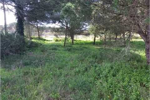 Helårsgrund i Sintra, Lisbon, Sintra - € 175.000 | Ref: SÒL_212 - foto 11