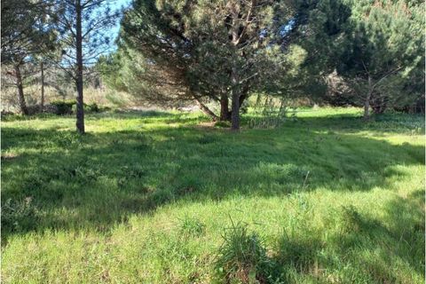 Helårsgrund i Sintra, Lisbon, Sintra - € 175.000 | Ref: SÒL_212 - foto 12