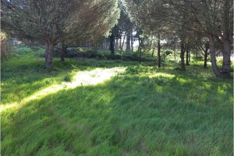 Helårsgrund i Sintra, Lisbon, Sintra - € 175.000 | Ref: SÒL_212 - foto 13