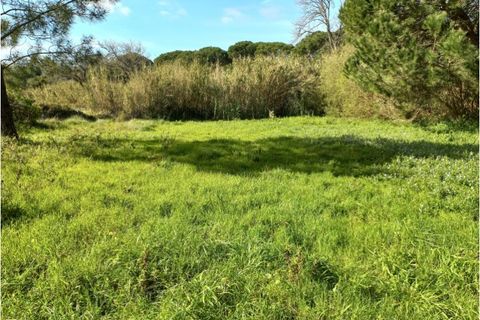 Helårsgrund i Sintra, Lisbon, Sintra - € 175.000 | Ref: SÒL_212 - foto 14