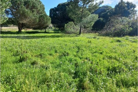 Helårsgrund i Sintra, Lisbon, Sintra - € 175.000 | Ref: SÒL_212 - foto 15