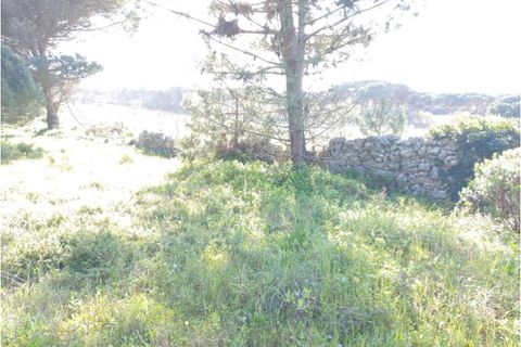 Helårsgrund i Sintra, Lisbon, Sintra - € 175.000 | Ref: SÒL_212 - foto 16