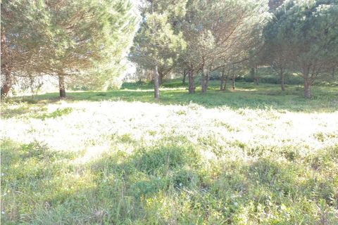 Helårsgrund i Sintra, Lisbon, Sintra - € 175.000 | Ref: SÒL_212 - foto 17