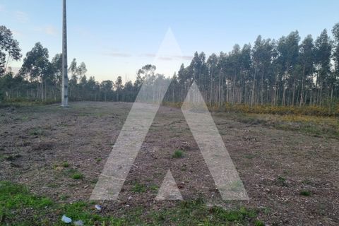 Terra a Sosa, Aveiro, Sosa - € 55.000 | Ref: 1020974/24 FR - foto 5