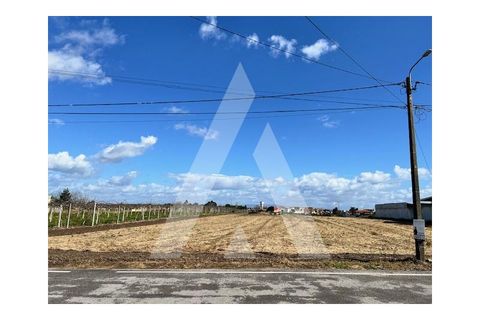 Helårsgrund i Aveiro, Aveiro, Aveiro - € 180.000 | Ref: 1020973/24 FR - foto 2