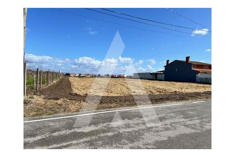 Helårsgrund i Aveiro, Aveiro, Aveiro - € 180.000 | Ref: 1020973/24 FR - foto 3