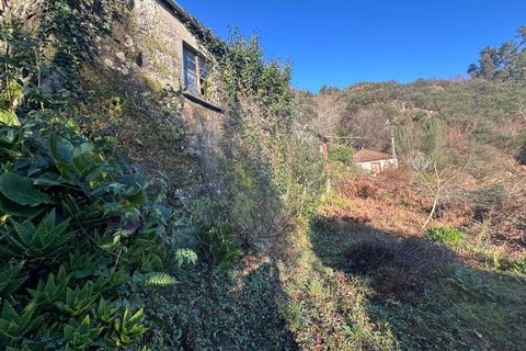 Villa a Arcos de Valdevez, Viana do Castelo, Arcos de Valdevez - € 23.000 | Ref: 123331167-369 - foto 2