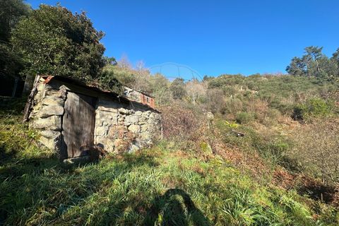 Villa a Arcos de Valdevez, Viana do Castelo, Arcos de Valdevez - € 23.000 | Ref: 123331167-369 - foto 4