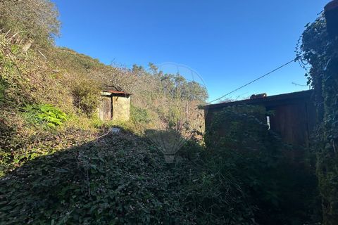 Villa a Arcos de Valdevez, Viana do Castelo, Arcos de Valdevez - € 23.000 | Ref: 123331167-369 - foto 13